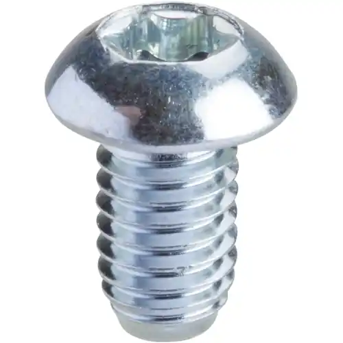 Top-Preis Torxschraube, (L) 10 mm, NSYSPM6