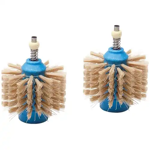 Schneller Versand Ersatzbürste, blau, JBC CLMB-P7, Packung mit 2 Stück