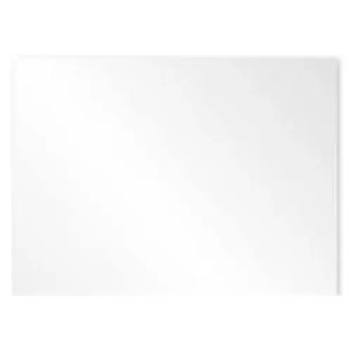 Direkt Vom Hersteller Polyester Etikett, (L x B) 297 x 210 mm, transparent, 10 Stk, 1689800000